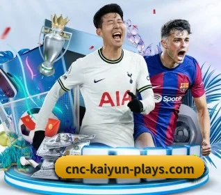 五大服务分区,信息按项目分类 | kaiyun