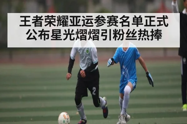 王者荣耀亚运参赛名单正式公布星光熠熠引粉丝热捧