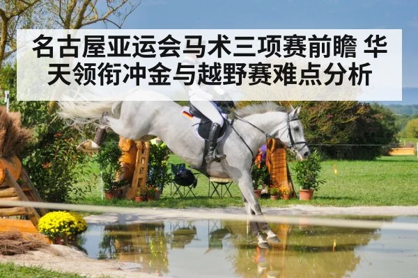 名古屋亚运会马术三项赛前瞻 华天领衔冲金与越野赛难点分析（kaiyun）